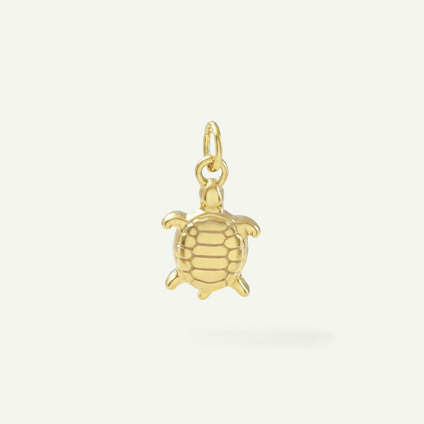 Turtle Charm