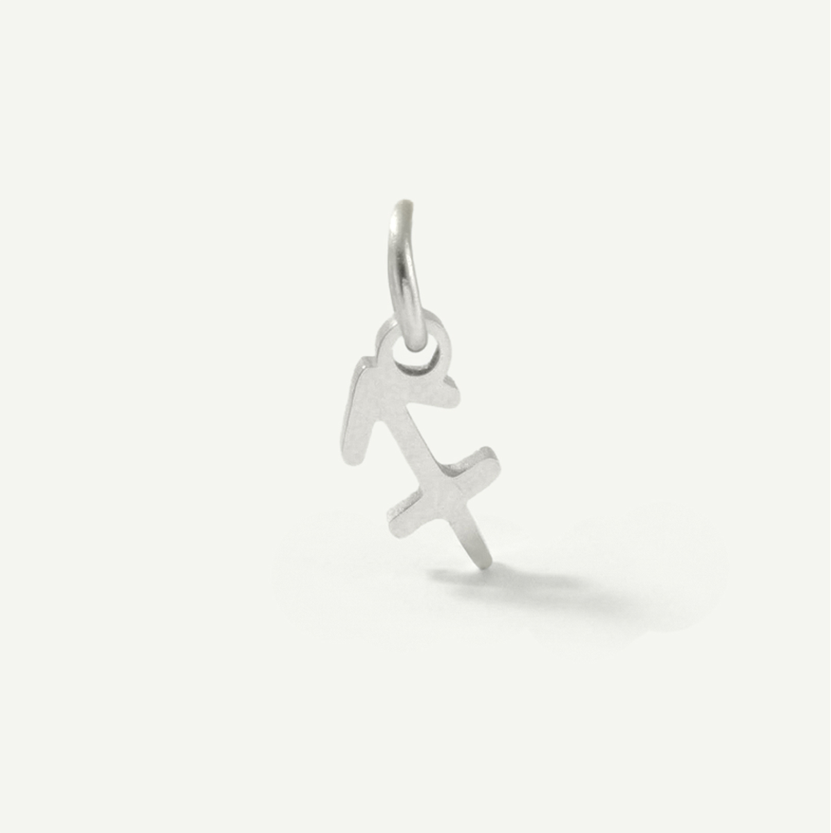 Standard Zodiac Charm