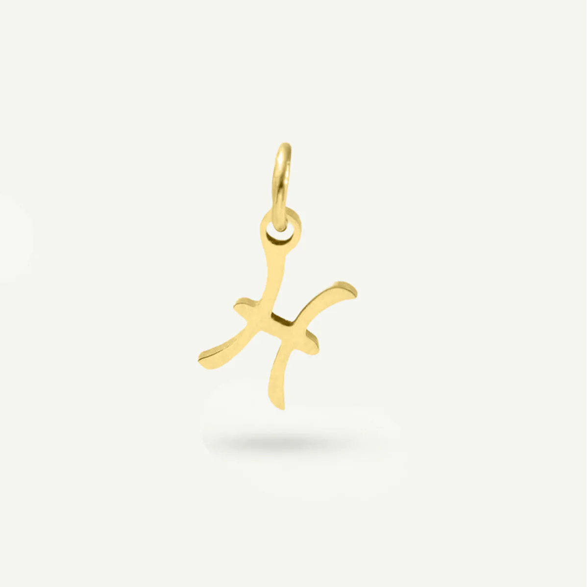 Standard Zodiac Charm