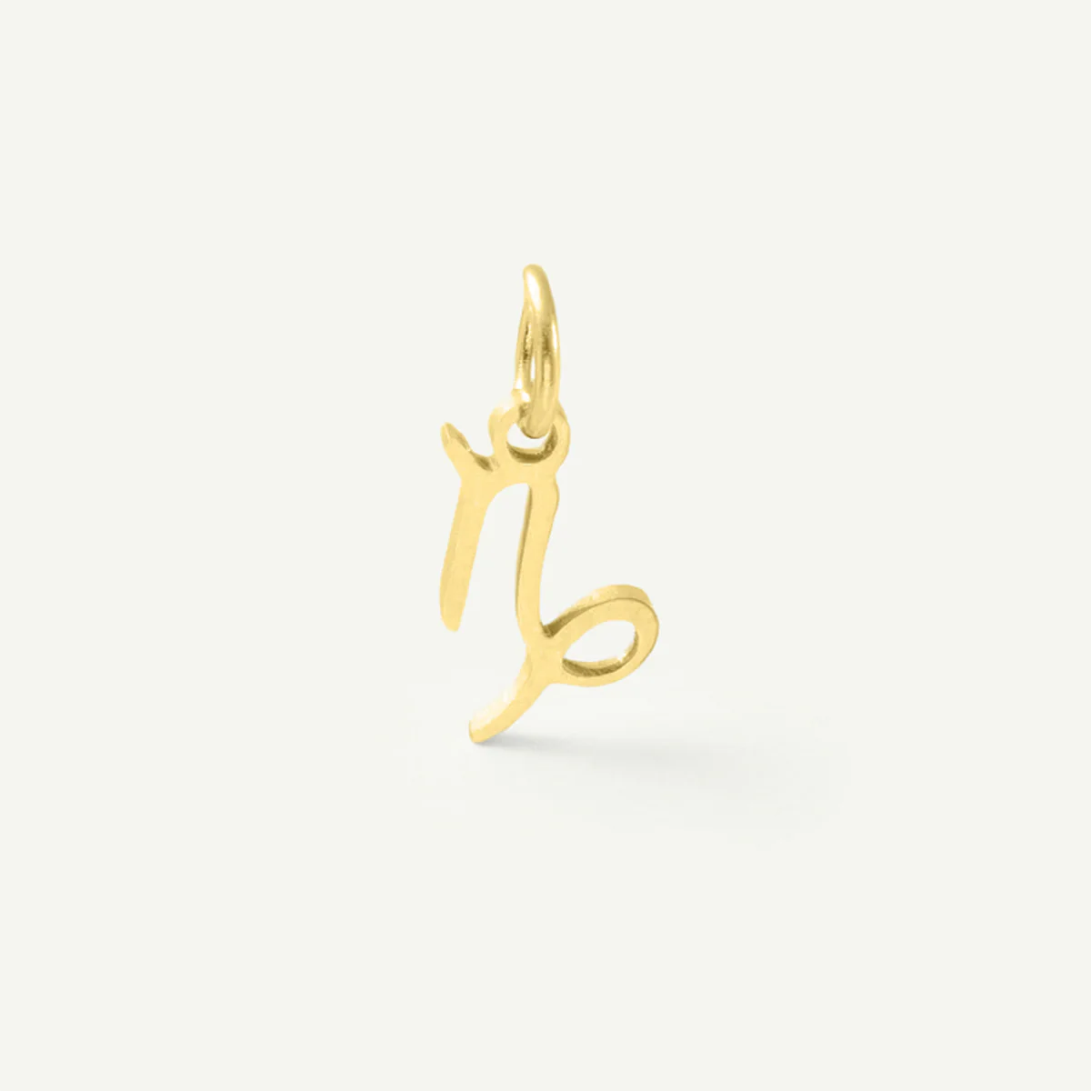 Standard Zodiac Charm