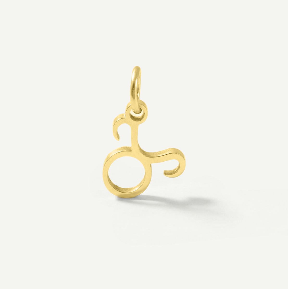 Standard Zodiac Charm