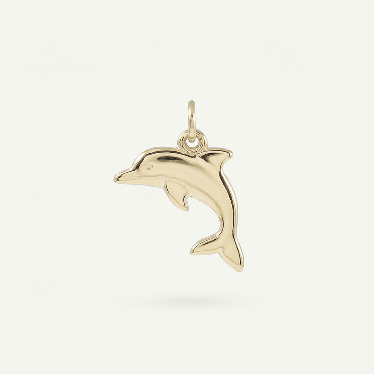 Dolphin Charm