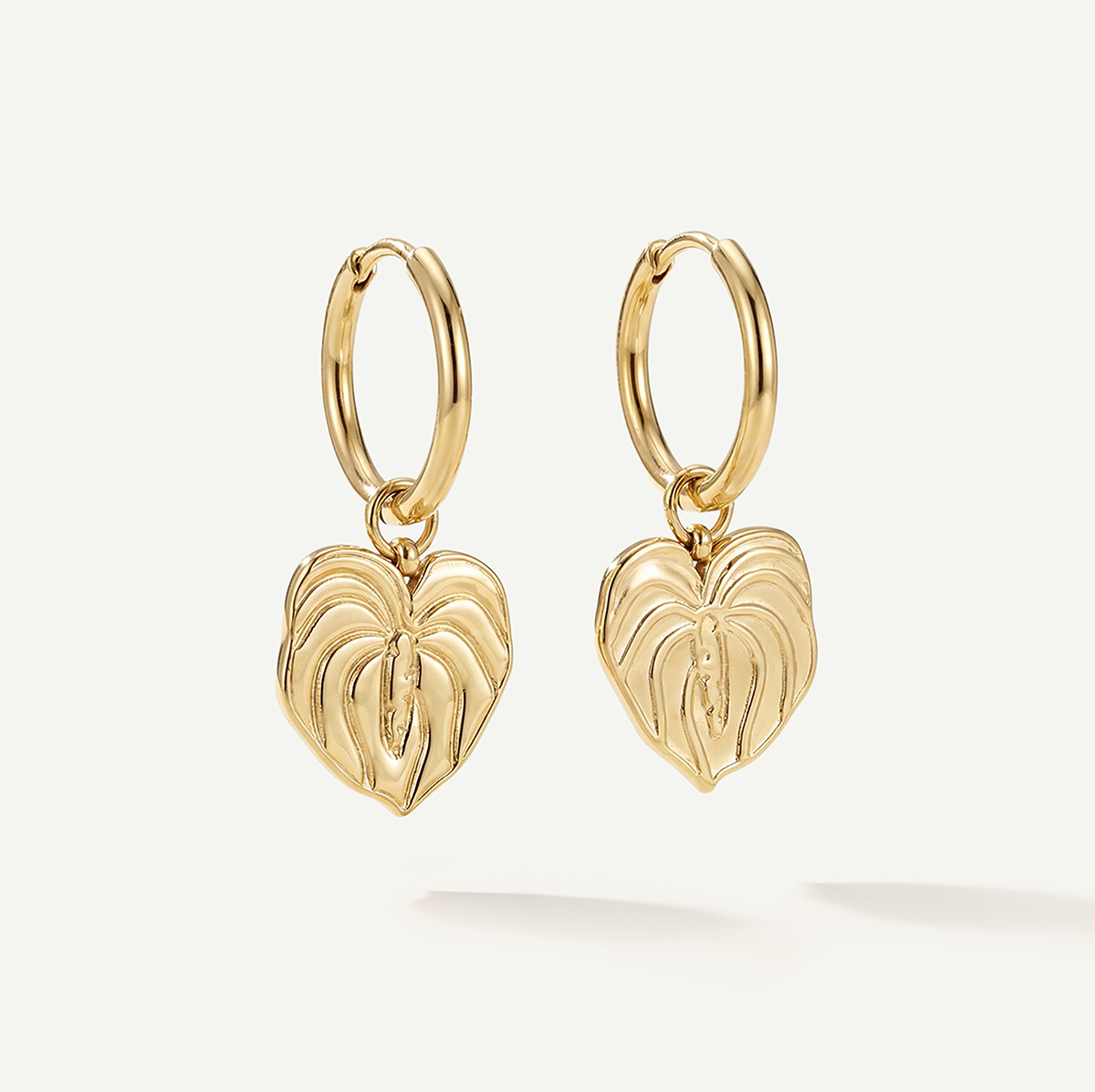 Anthurium Huggies, Gold