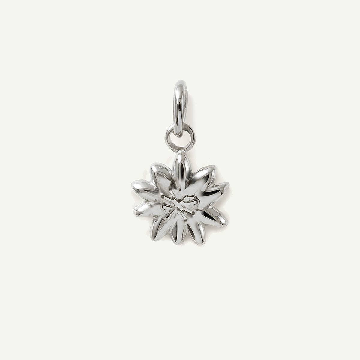 Lilikoi Mini Charm, Silver