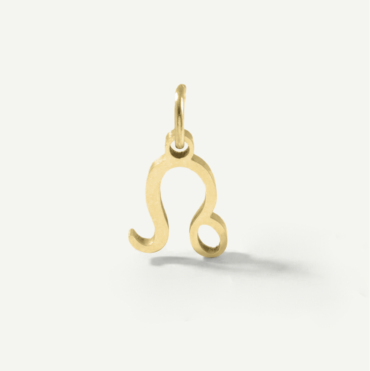 Standard Zodiac Charm