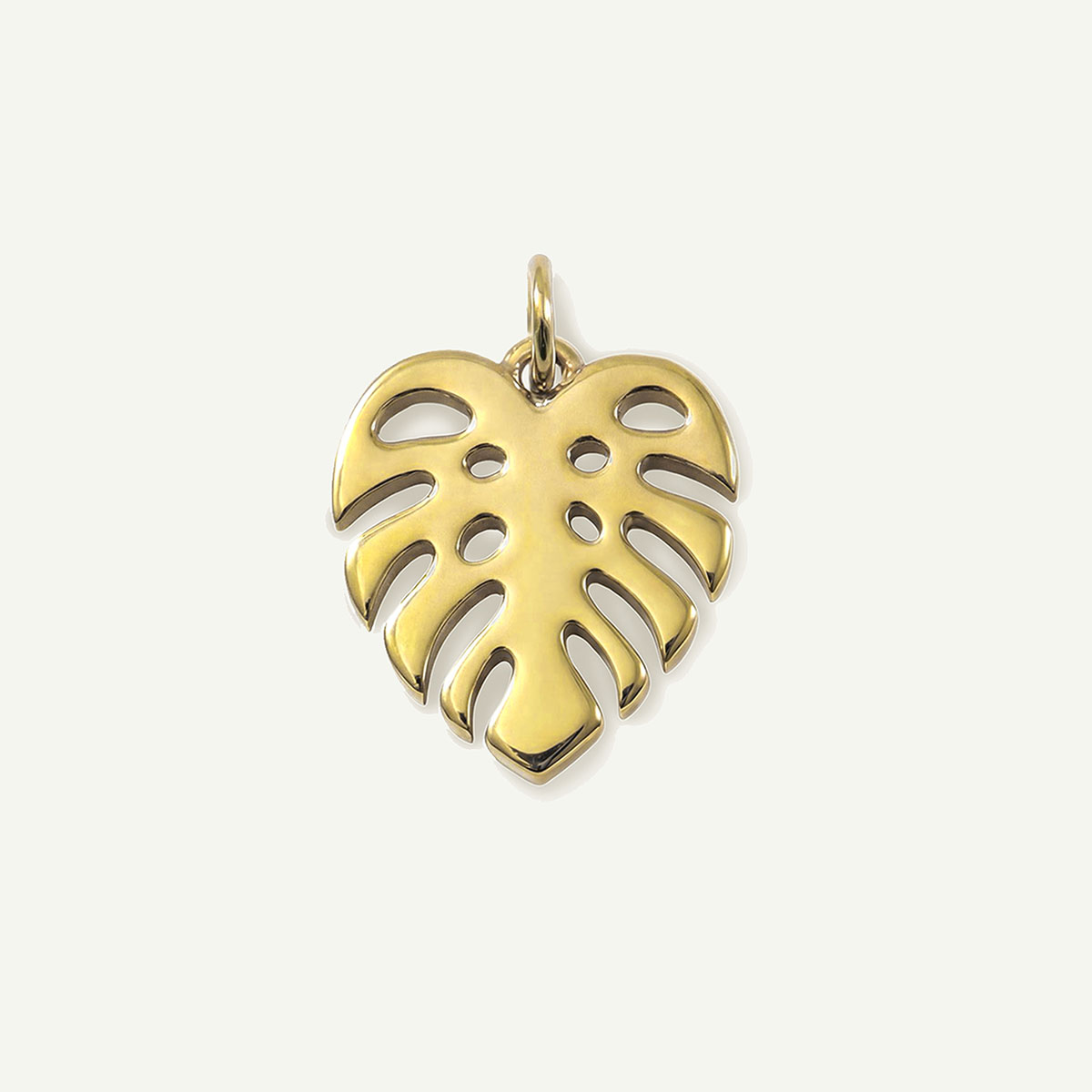 Monstera Charm