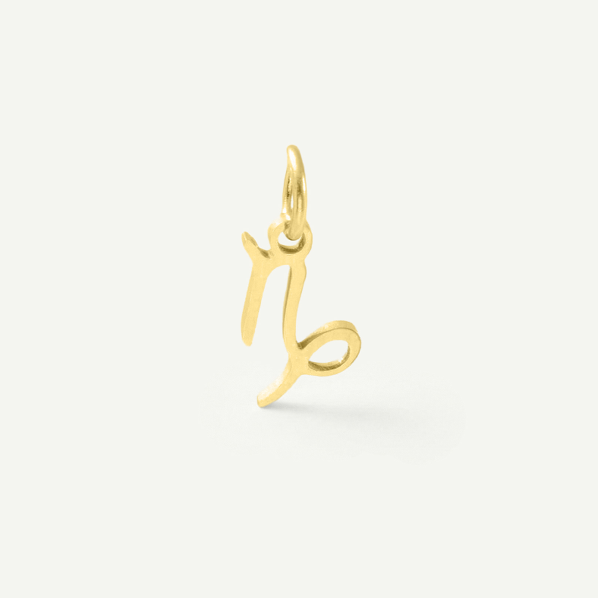 Standard Zodiac Charm