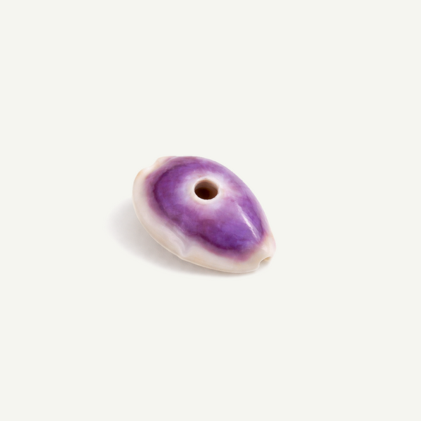 Money Cowrie Shell 16-30 mm