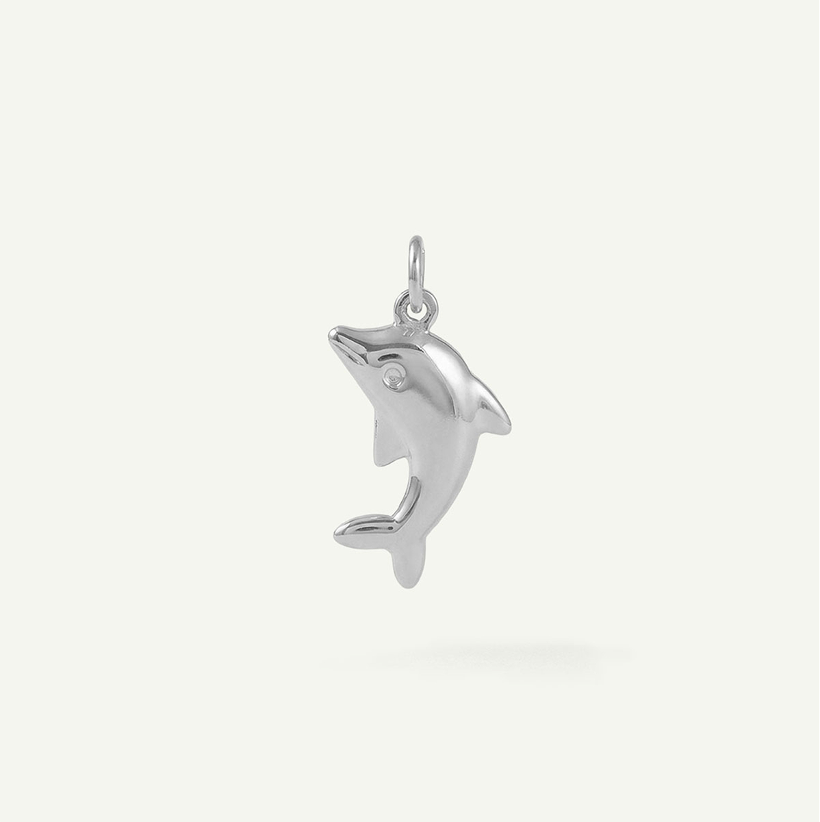 Imperfect Dolphin Charm