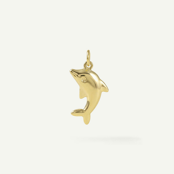 Imperfect Dolphin Charm