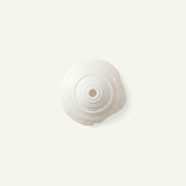 White Puka Shell 15-20mm