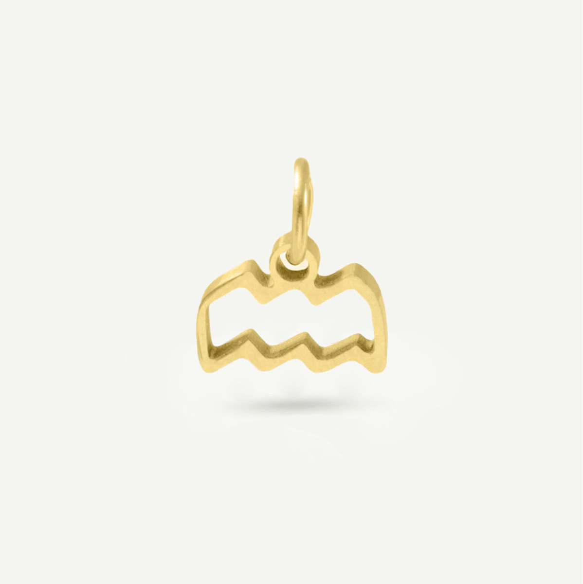 Standard Zodiac Charm