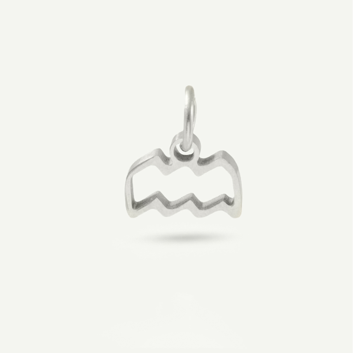 Standard Zodiac Charm