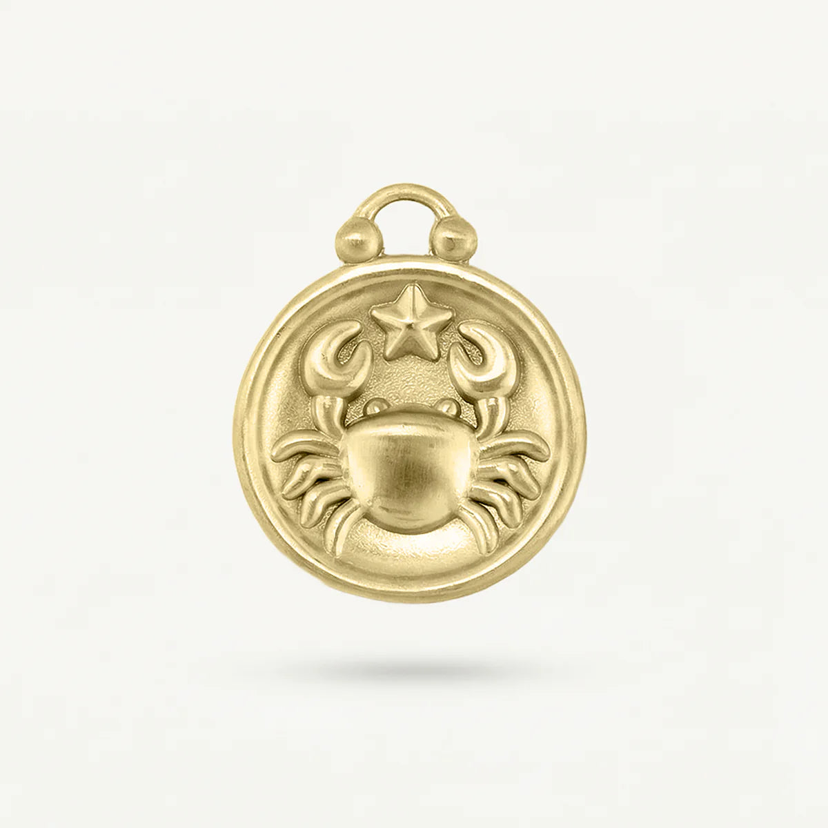 Zodiac Disk Charm