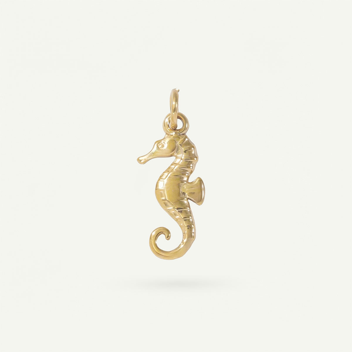 Seahorse Tide Charm