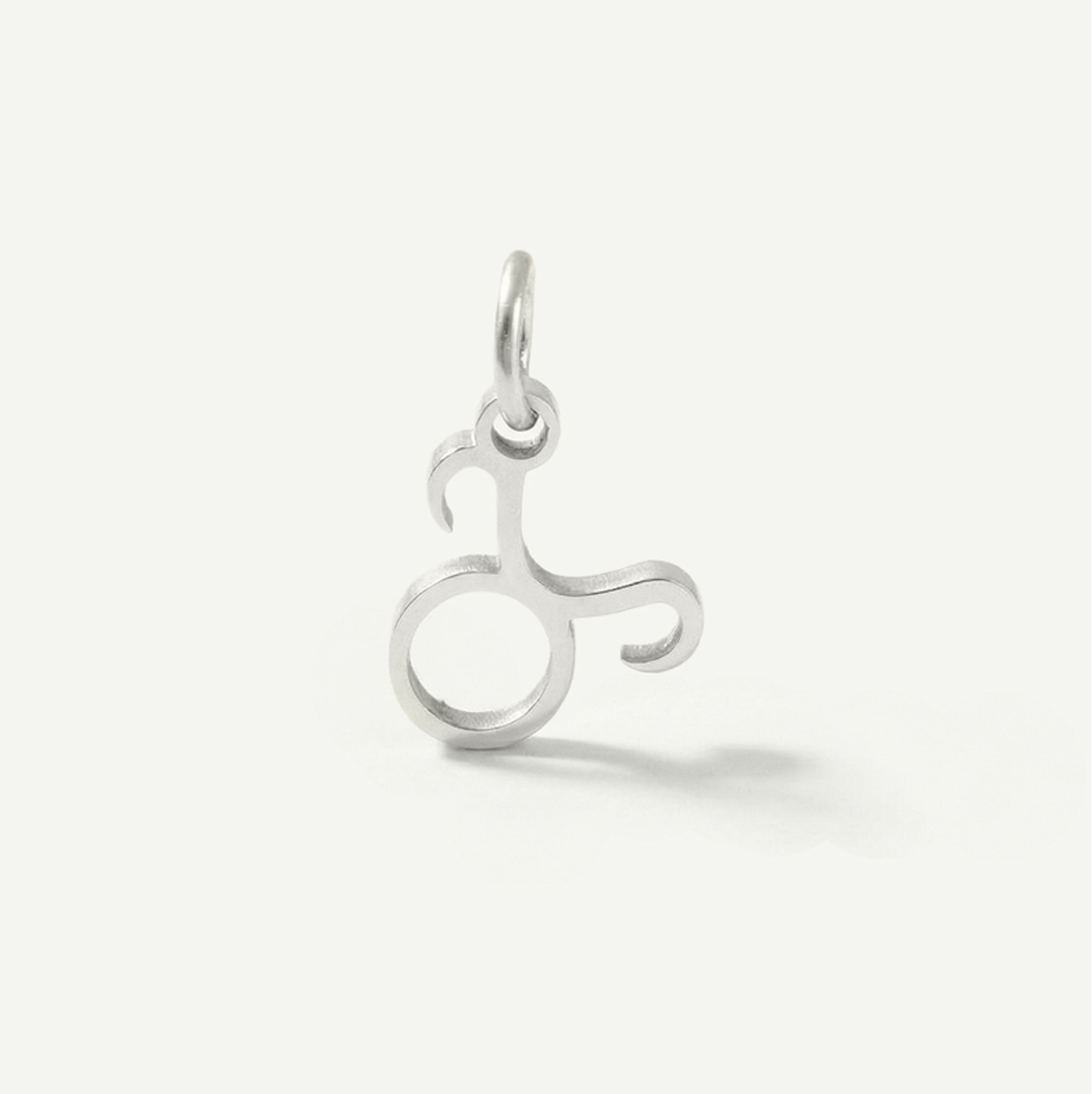 Standard Zodiac Charm