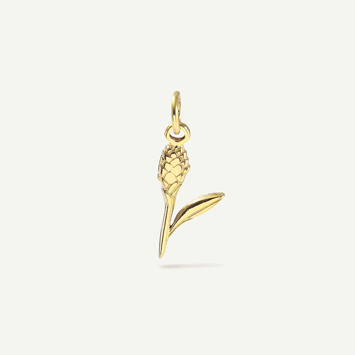 Red Ginger Charm