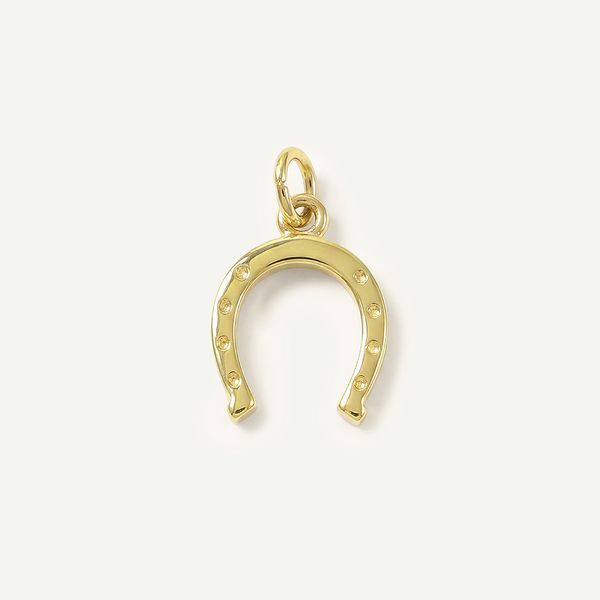 Horseshoe Textured Charm