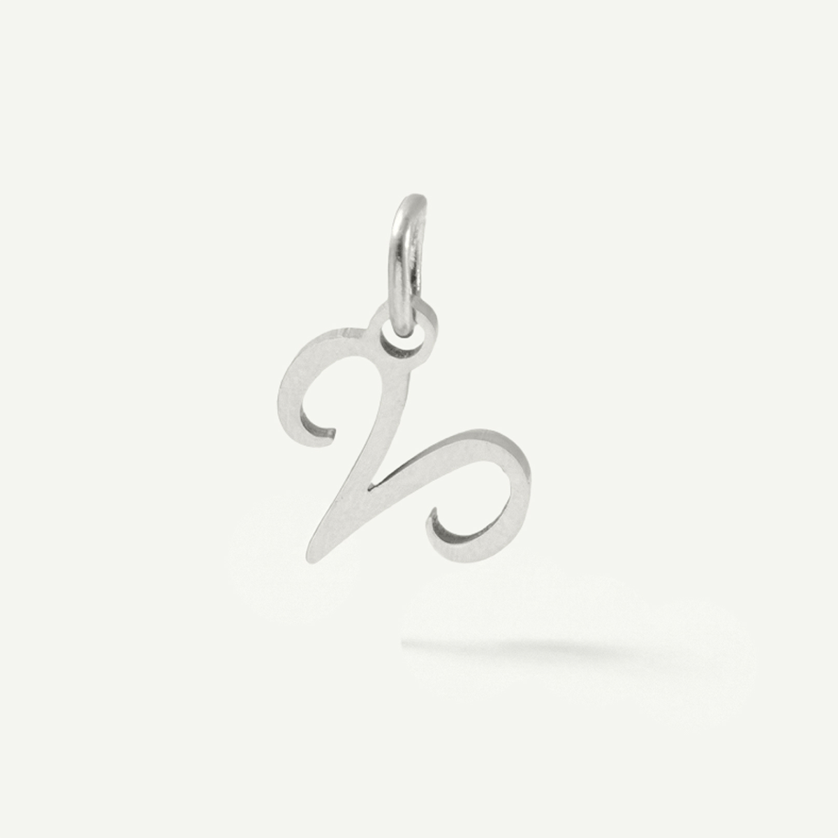 Standard Zodiac Charm