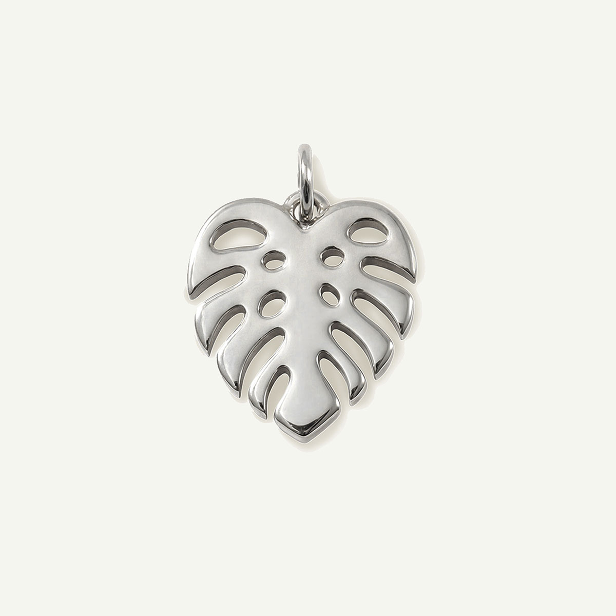 Monstera Charm